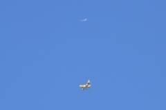 P1450147