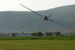 P1470968_edited-1