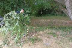 IMG-20210703-WA0004